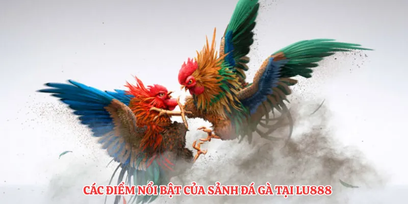 Sảnh SV368 Đá Gà LU888: So Sánh Các Hình Thức Cược Phổ Biến - winmonarch69.casa - Winmonarch69