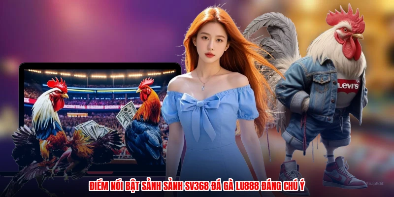 Sảnh SV368 Đá Gà LU888: So Sánh Các Hình Thức Cược Phổ Biến - winmonarch69.casa - Winmonarch69