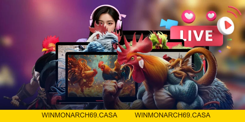 đá gà LU888 - winmonarch69.casa - Winmonarch69