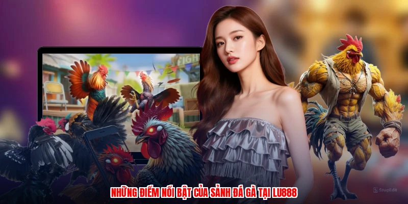 Đá Gà Philippines Tại LU888: Các Hình Thức Cược Phổ Biến - winmonarch69.casa - Winmonarch69