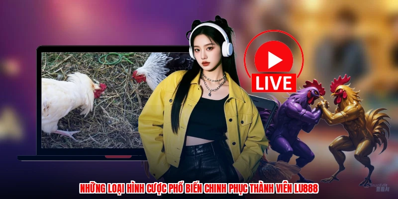 Bí Kíp Đá Gà Thomo LU888: Lý Do Sảnh Cược Được Tin Dùng - winmonarch69.casa - Winmonarch69