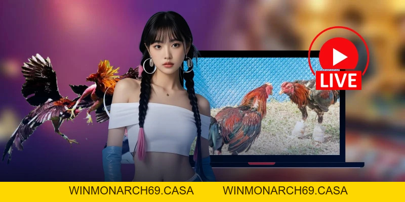 đá gà LU888 - winmonarch69.casa - Winmonarch69