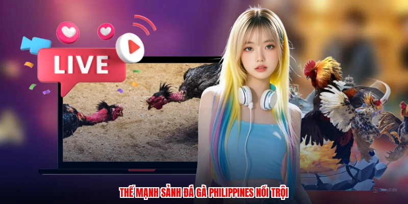 Đá Gà Philippines Tại LU888: Các Hình Thức Cược Phổ Biến - winmonarch69.casa - Winmonarch69
