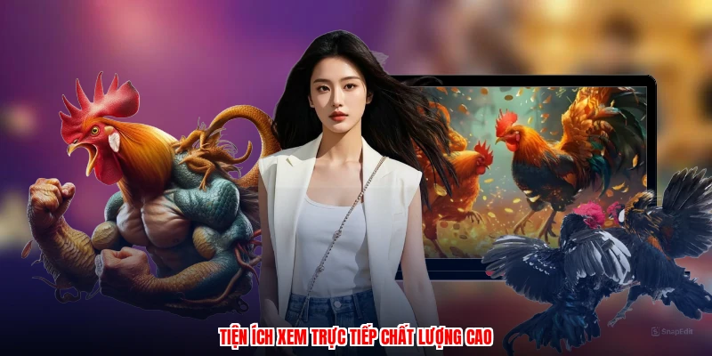 Đá Gà Philippines Tại LU888: Các Hình Thức Cược Phổ Biến - winmonarch69.casa - Winmonarch69