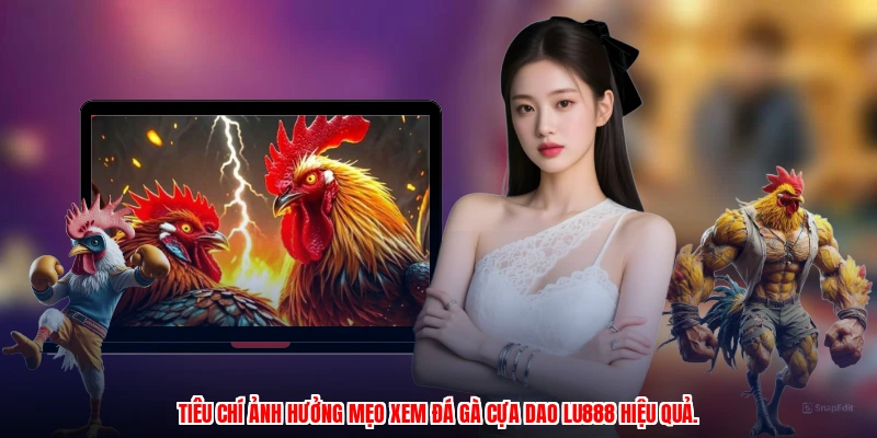 Mẹo Xem Đá Gà Cựa Dao LU888: Phân Tích Kèo Cược Chuẩn Xác - winmonarch69.casa - Winmonarch69