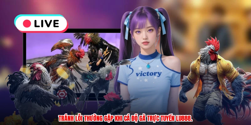 Mẹo Xem Đá Gà Cựa Dao LU888: Phân Tích Kèo Cược Chuẩn Xác - winmonarch69.casa - Winmonarch69