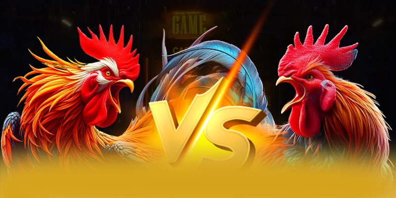 8XBET - Cong tro choi duoc danh gia cao tai Viet Nam - winmonarch69.casa - Winmonarch69